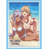 Sleeve Collection HG Vol.3383 (Liscia & Aisha Swimwear Ver.)