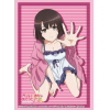 Sleeve Collection HG Vol.3399 (Kato Megumi Part. 4)