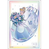Sleeve Collection HG Vol.3575 (Cinderella)