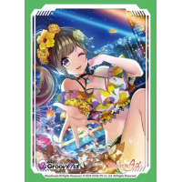 Sleeve Collection HG Vol.3584 (Mizushima Marika)