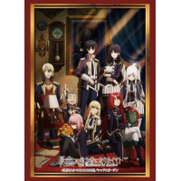 Sleeve Collection HG Vol.3631 (Key Visual Cid Ver.)