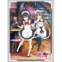 Sleeve Collection HG Vol.3733 (Maid Ver.)