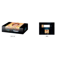 Official Storage Box Vol.51 (Positive Passion - Honda Mio)