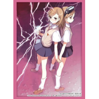 Sleeve Collection HG Vol.3819 (Misaka Mikoto & Misaka 10032)