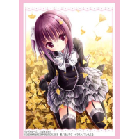Bushiroad Sleeve Collection HG Vol.4369 - 75 Protettori Per Carte Sanrio Characters Con Fronte Trasparente E Retro Stampato