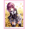 Sleeve Collection HG Vol.3834 (Minato Tomoka)