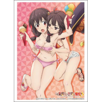 Sleeve Collection HG Vol.3869 (Yunyun & Megumin)