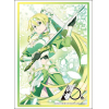 Sleeve Collection HG Vol.3813 (Leafa Part. 2)