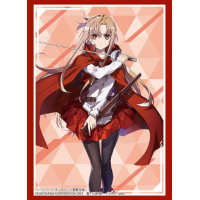 Sleeve Collection HG Vol.4018 (Asuna Part. 5)