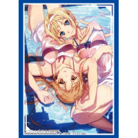 Sleeve Collection HG Vol.4016 (Asuna & Alice)