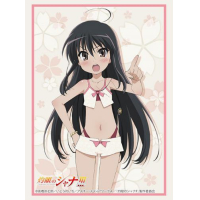 Sleeve Collection HG Vol.4087 (Shana Part. 3)