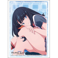 Sleeve Collection HG Vol.4280 (Takarada Rikka)