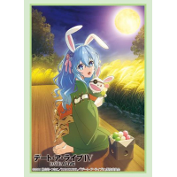 Sleeve Collection HG Vol. 4384 (Yoshino)