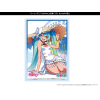 Sleeve Collection HG Vol. 4523 (Racing Miku 2024 Ver. Support Illustration Round 4 Fuji)