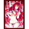 Sleeve Collection HG Vol. 4566 (Rias Gremory Part. 4)