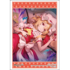 Sleeve Collection HG Vol. 4666 (Flandre Scarlet Part. 2)