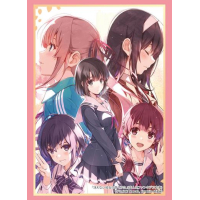 Sleeve Collection HG Vol. 4712 (Saenai Heroine no Sodatekata)