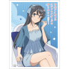 Sleeve (Sakurajima Mai / Room Wear)