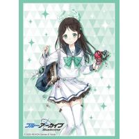 Sleeve Collection HG Vol. 4849 (Airi)