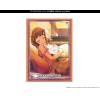 Sleeve Collection HG Vol. 4856 (20th Anniversary 765PRO ALLSTARS)