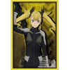Sleeve Collection HG Vol. 4867 (Shinomiya Kikoru)