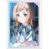 Sleeve Collection HG Vol. 4883 (20th Anniversary Shiny Colors)