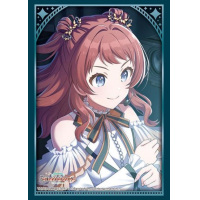 Sleeve Collection HG Vol. 4893 (20th Anniversary Gakuen Idolmaster)