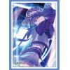 Sleeve Collection HG Vol. 4892 (Hataya Misuzu Tsuki no Kame Ver.)