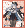 Sleeve Collection HG Vol. 4901 (Haruna)