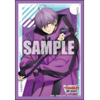 Sleeve Collection Mini Vol. 811 (Hazama Michiru)