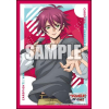 Sleeve Collection Mini Vol. 810 (Aikawa Kuon)
