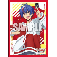 Sleeve Collection Mini Vol. 806 (Myodo Akina)