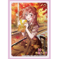 Sleeve Collection HG Vol. 4917 (Sakurasawa Sumi Date Ver. Part. 2)