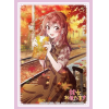 Sleeve Collection HG Vol. 4917 (Sakurasawa Sumi Date Ver. Part. 2)