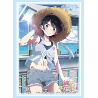 Sleeve Collection HG Vol. 4916 (Sarashina Ruka Date Ver. Part. 2)