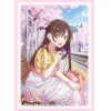 Sleeve Collection HG Vol. 4914 (Mizuhara Chizuru Date Ver. Part. 2)