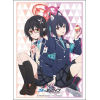 Sleeve Collection HG Vol. 4913 (Kuromi Serika & Okusora Ayane)
