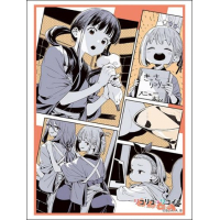 Sleeve Collection HG Vol. 4933 (Scintillation of Genius)