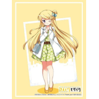 Sleeve Collection HG Vol. 4942 (Kujo Karen)