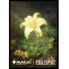 Players Card Sleeve MFS-41 (Secret Lair Drop Gilded Lotus)