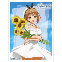 Sleeve (Ryza / White Dress)