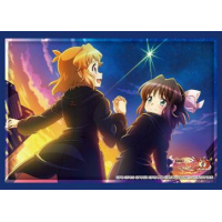 Sleeve Collection HG Vol. 4989 (Hibiki & Miku)