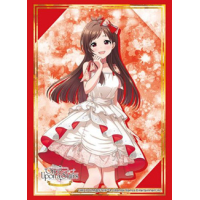 Sleeve Collection HG Vol. 4977 (Tsujino Akari)