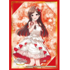 Sleeve Collection HG Vol. 4977 (Tsujino Akari)