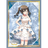 Sleeve Collection HG Vol. 4976 (Sunazuka Akira)