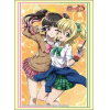 Sleeve Collection HG Vol. 5001 (Tsukuyomi Shirabe & Akatsuki Kirika)