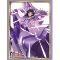 Sleeve Collection HG Vol. 4996 (Kohinata Miku Faust Robe Ver.)