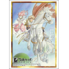 Sleeve Collection HG Vol. 5007 (Tales of Phantasia)