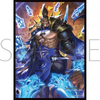 Chara Sleeve Matte No. MT2232 (Raio, Elimination Manifest)