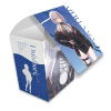 Original Illustration Deck Case (Duisburg / Winter Date)
